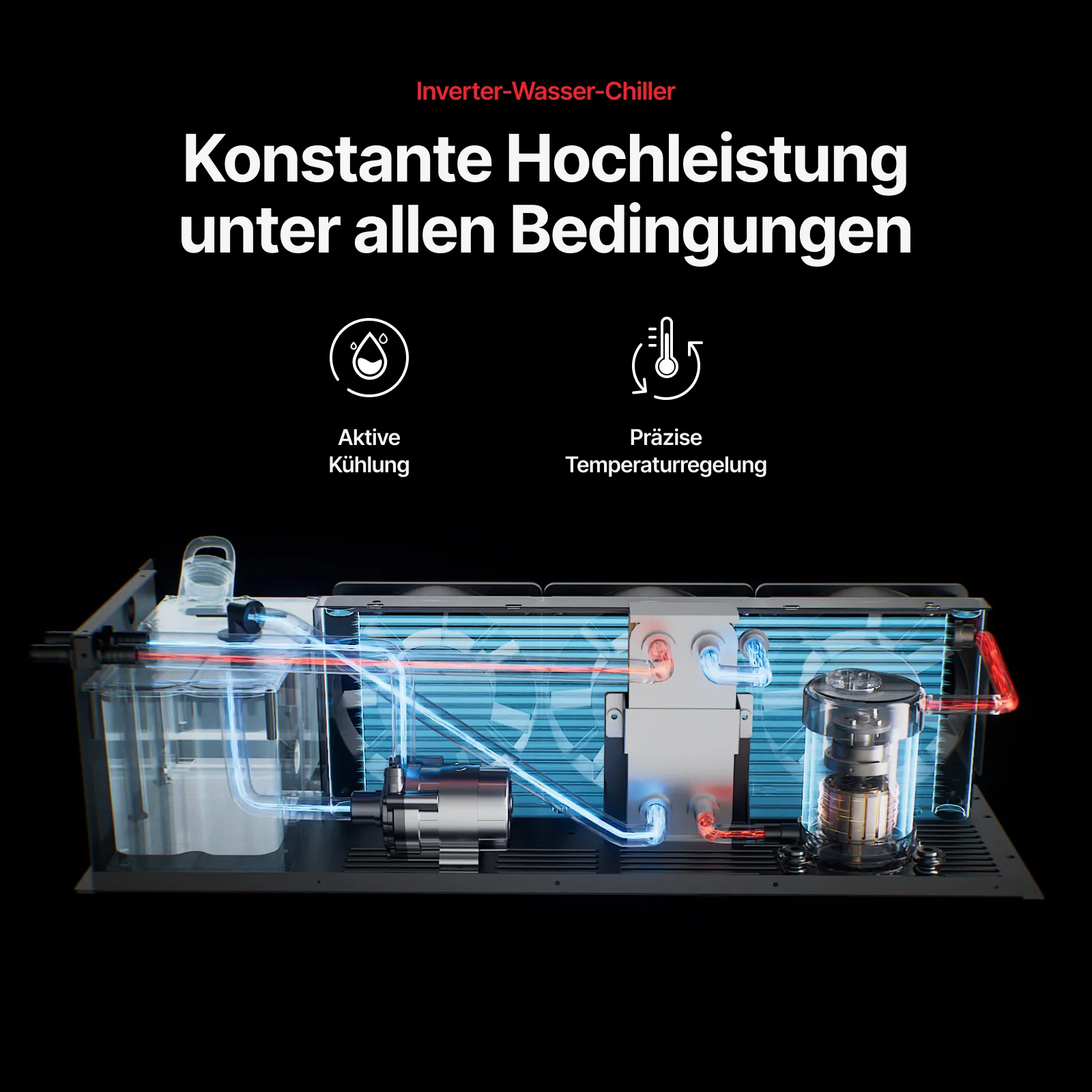 Vorschaubild 13